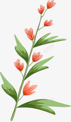 绿色枝头一枝花素材