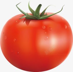 红柿子健康有机素材