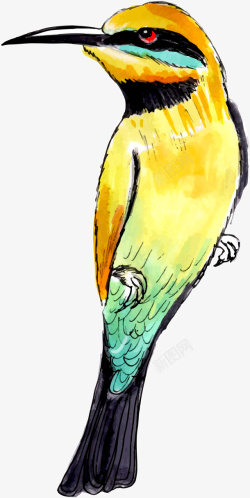手绘美丽黄色小鸟素材
