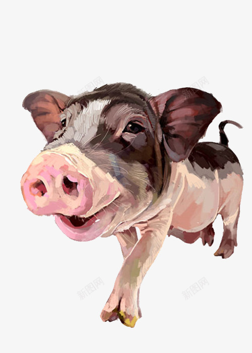 手绘动物猪png免抠素材_新图网 https://ixintu.com 动物 卡通动物 手绘动物 手绘动物猪 猪