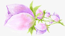 手绘紫色唯美花朵背景素材