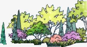 手绘彩色漫画植物树林png免抠素材_新图网 https://ixintu.com 彩色 树林 植物 漫画