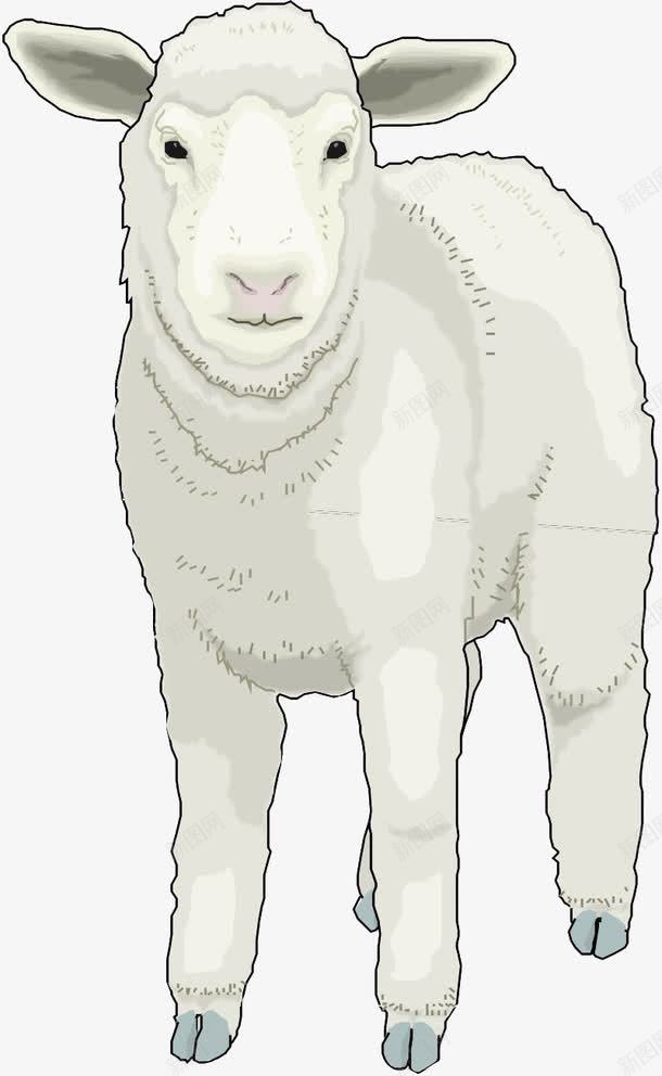 手绘小羊png免抠素材_新图网 https://ixintu.com 动物 小羊 手绘画 矢量装饰 羊 装饰