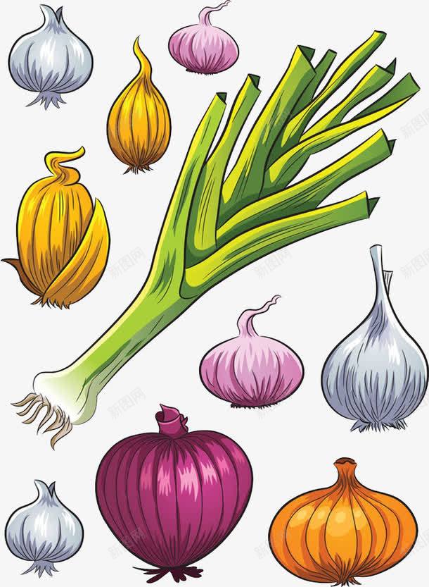 葱蒜蔬菜png免抠素材_新图网 https://ixintu.com 卡通手绘 卡通菜园 教育 绿色食品 蔬菜 装饰 调味料