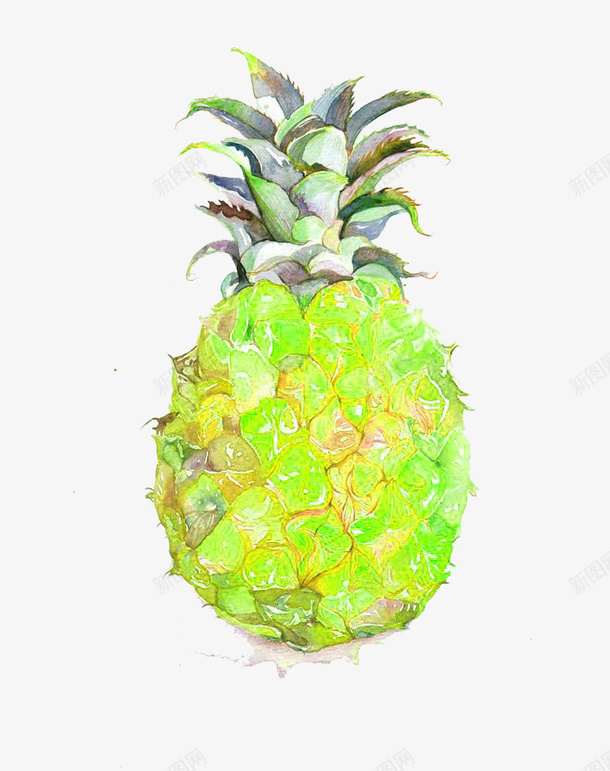 水彩菠萝png免抠素材_新图网 https://ixintu.com 卡通 手绘 水彩 菠萝 装饰