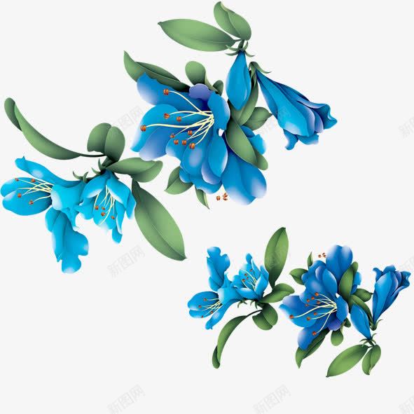 迷人蓝色花朵png免抠素材_新图网 https://ixintu.com 深蓝 绿叶 绿色 花朵 蓝色