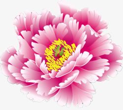 手绘粉色艺术花朵蝴蝶素材