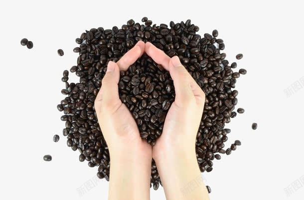 手捧咖啡豆png免抠素材_新图网 https://ixintu.com 可可豆 咖啡 咖啡豆