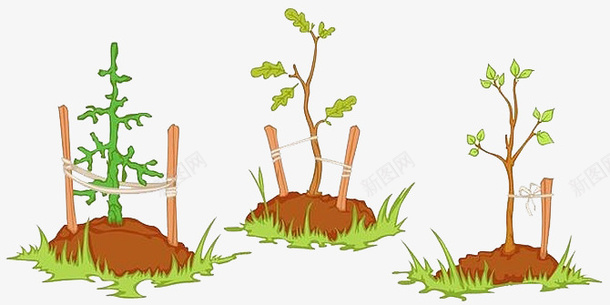 小树苗的生长过程png免抠素材_新图网 https://ixintu.com 免抠 卡通手绘 小树苗 成长 植物 生长过程