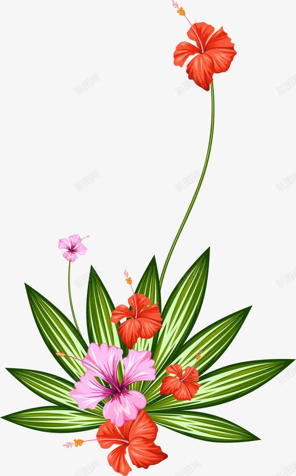 一朵红色的花png免抠素材_新图网 https://ixintu.com 唯美 手绘 水彩 漂亮 花卉 花朵 装饰