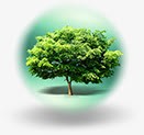 绿色树林泡泡装饰png免抠素材_新图网 https://ixintu.com 树林 泡泡 绿色 装饰