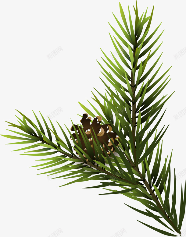 绿色松果植物png免抠素材_新图网 https://ixintu.com 圣诞节 松果 植物 清新 简约 绿色 自然 装饰图案