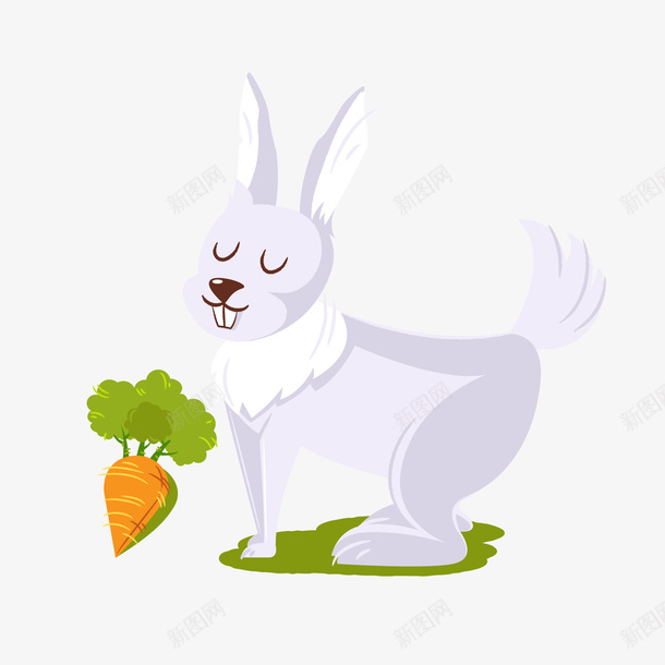 白色小兔子背景装饰png免抠素材_新图网 https://ixintu.com 卡通动物 白色动物 背景装饰 胡萝卜