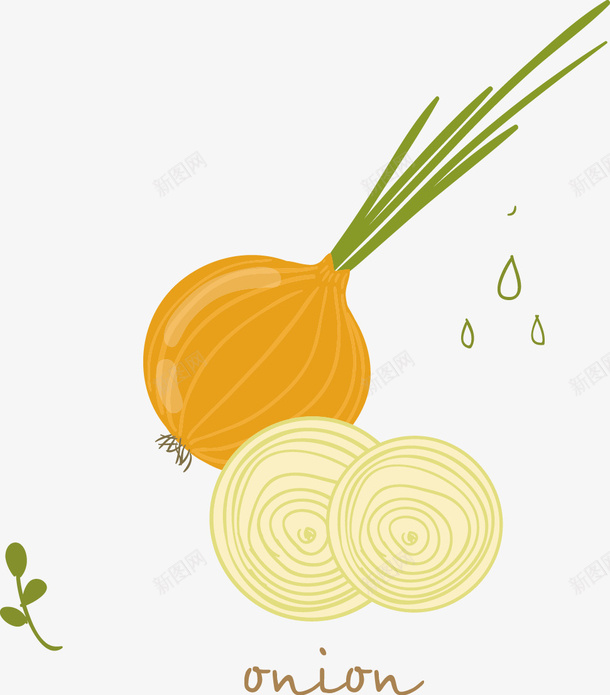 卡通手绘蔬菜矢量图ai免抠素材_新图网 https://ixintu.com 卡通 手绘 葱头 蔬菜 矢量图