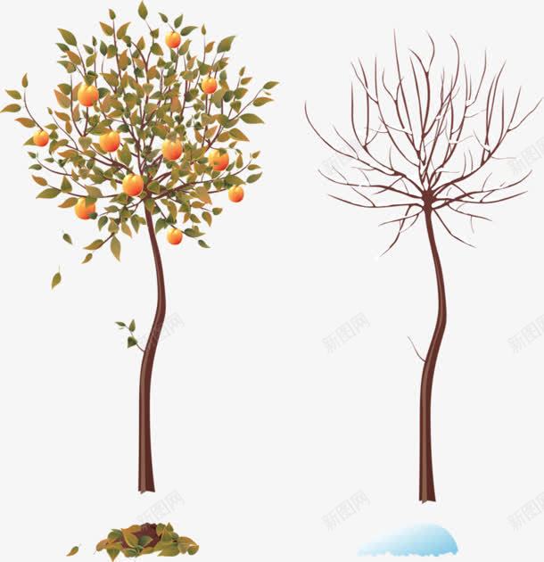 干枯的树和果实累累的树png免抠素材_新图网 https://ixintu.com 干枯 果实 累累的