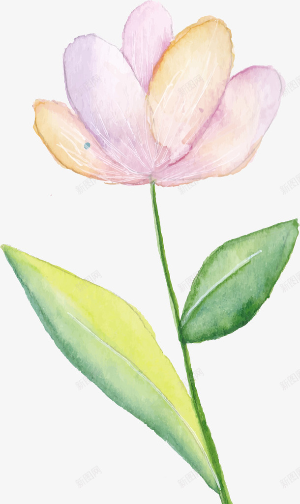 简易彩绘png免抠素材_新图网 https://ixintu.com 唯美风格 壁纸 彩绘 手绘 插画 简易彩绘 花朵