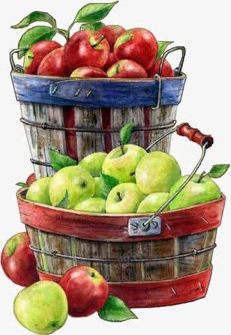 苹果框png免抠素材_新图网 https://ixintu.com 创意水果 果篮 水彩苹果 红苹果 青苹果