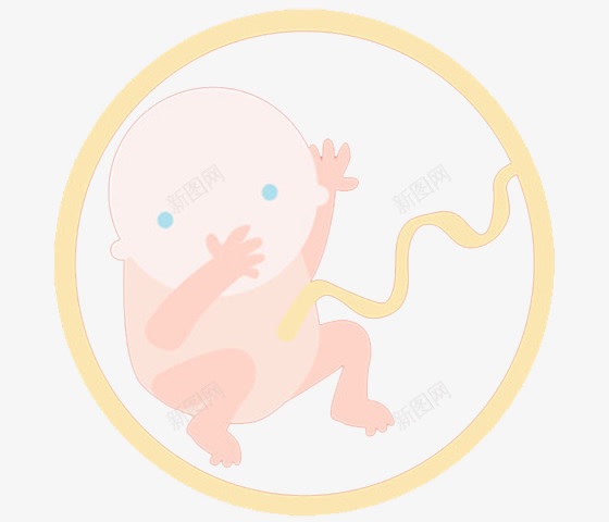 7月的胎儿png免抠素材_新图网 https://ixintu.com 胎儿图片素材 胎儿图片素材大全 胎儿素材