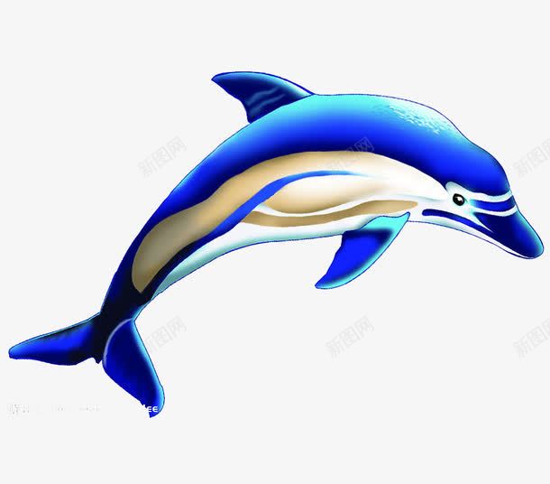 3D蓝鲸psd免抠素材_新图网 https://ixintu.com 3D 蓝鲸 鱼 鲸鱼