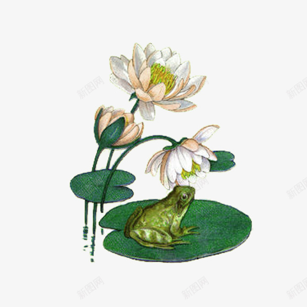 绿色中国风青蛙花朵装饰图案png免抠素材_新图网 https://ixintu.com 中国风 免抠PNG 绿色 花朵 装饰图案 青蛙