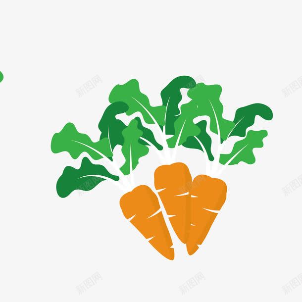 手绘萝卜png免抠素材_新图网 https://ixintu.com 很多手 维生素 萝卜 营养 蔬菜