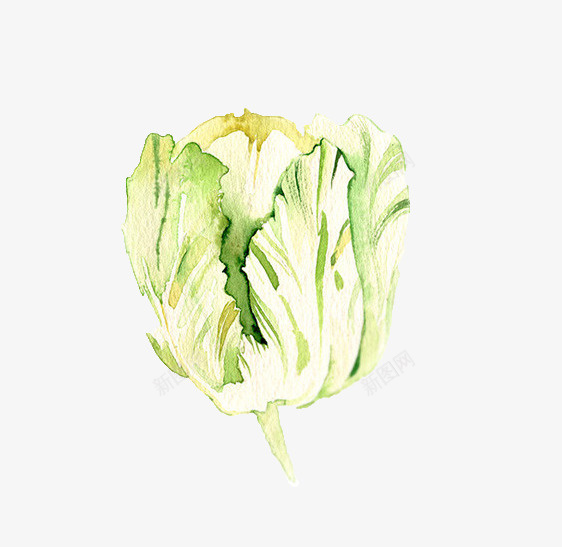 卡通白菜png免抠素材_新图网 https://ixintu.com 创意 手绘 植物 漂亮