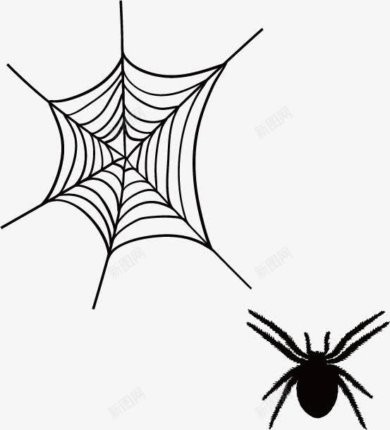 正在捕食的蜘蛛png免抠素材_新图网 https://ixintu.com 卡通 蜘蛛 黑白