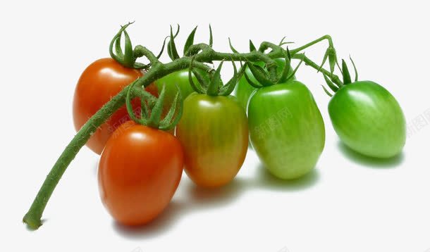 一串小番茄png免抠素材_新图网 https://ixintu.com 一串小番茄图 水果 蔬菜