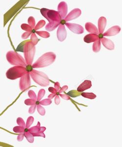 粉色唯美花朵美景手绘素材