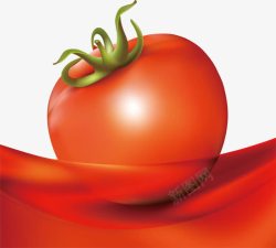 手绘感恩节食物果实西红柿矢量图高清图片