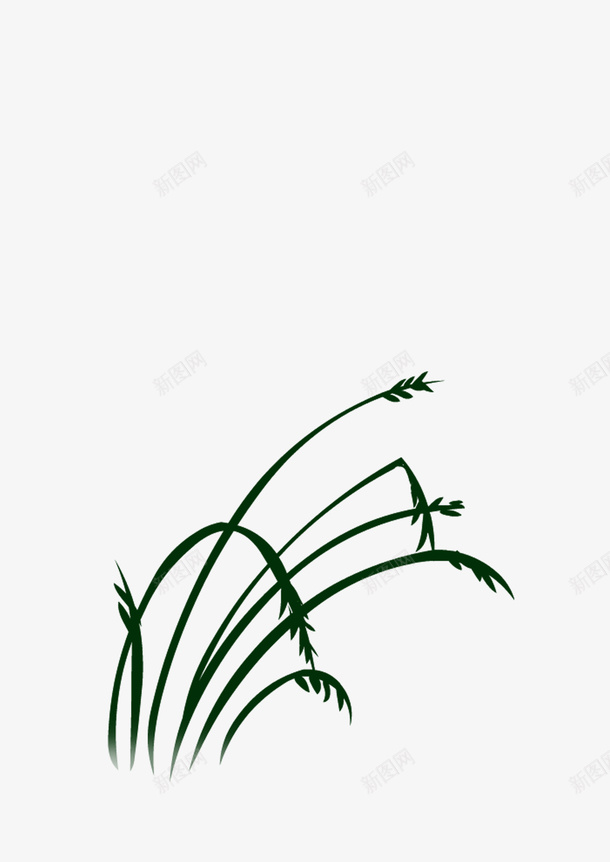 绘画植物草自然png免抠素材_新图网 https://ixintu.com 绘画植物 自然 草