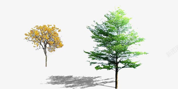 两个小树苗png免抠素材_新图网 https://ixintu.com 两棵树 树木 植物 黄色树