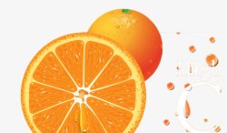 姗欐眮橙子富含维C高清图片
