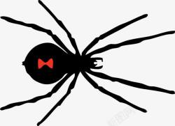 黑色带红色花纹的蜘蛛素材
