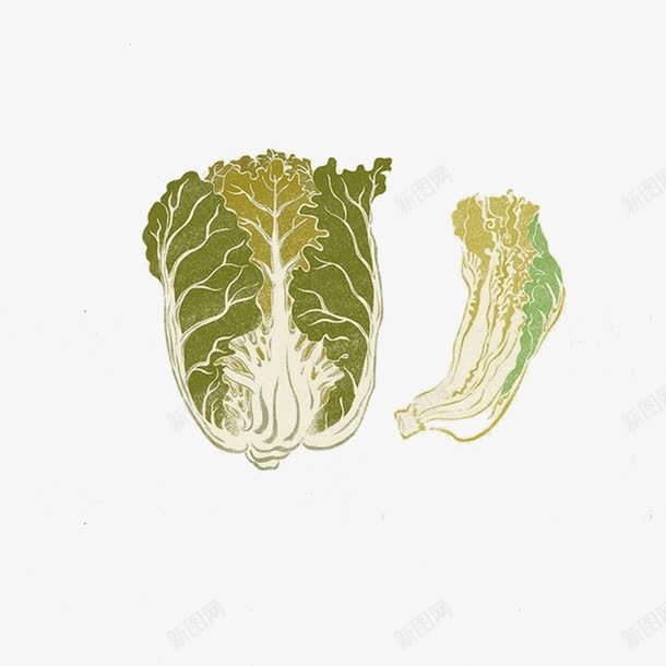 写实手绘蔬菜png免抠素材_新图网 https://ixintu.com 手绘 水彩 白菜 蔬菜