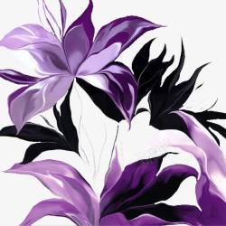 紫色花叶紫色花叶高清图片