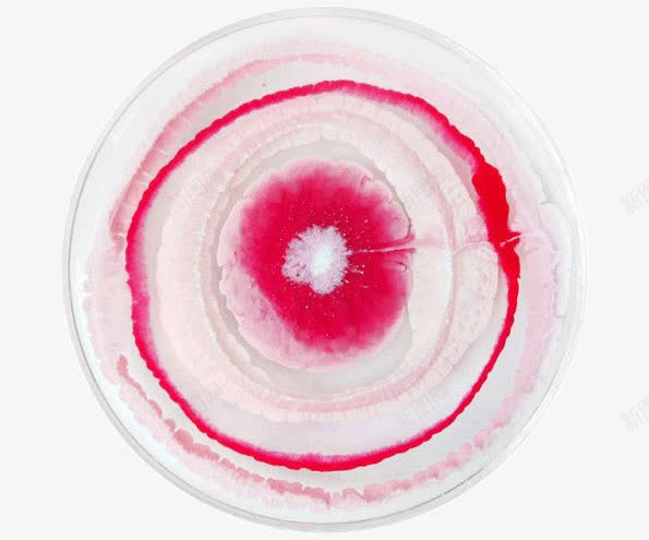 盘子里的血迹png免抠素材_新图网 https://ixintu.com 创意 培养皿 盘子 细胞培养皿 艺术 血迹 视觉