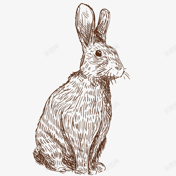 手绘兔子矢量图ai免抠素材_新图网 https://ixintu.com 动物 卡通 机灵的兔子 铅画 矢量图