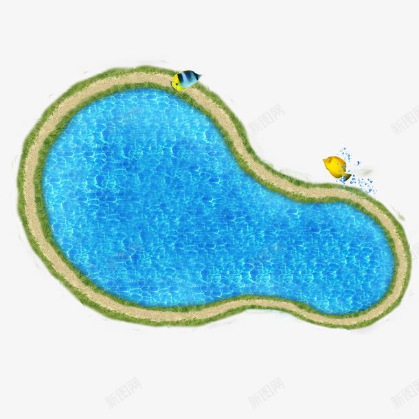 游泳池png免抠素材_新图网 https://ixintu.com 夏天 游泳池 金鱼