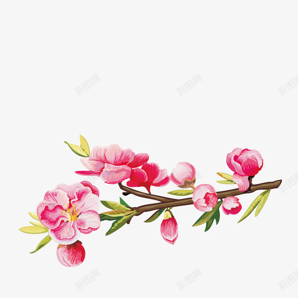 粉色的桃花png免抠素材_新图网 https://ixintu.com PNG图形 树枝 桃花 植物 粉色 装饰