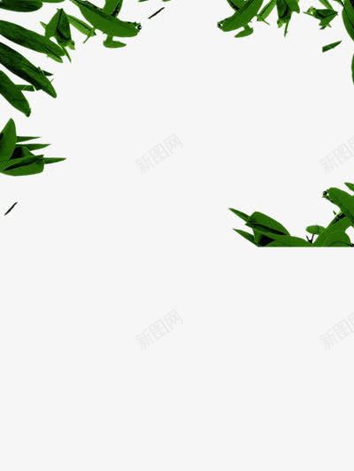 ppt背景png免抠素材_新图网 https://ixintu.com 四周 围绕 树叶 绿色