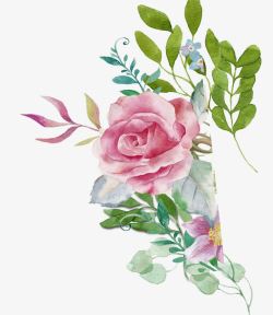 手绘水彩绘画玫瑰花素材