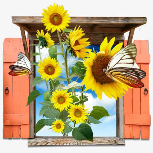 花向日葵窗口我的7个图标png_新图网 https://ixintu.com Flowers sunflowers window 向日葵 窗口 花