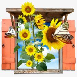 我的花花向日葵窗口我的7个图标高清图片