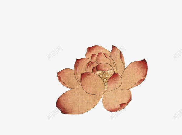 创意复古风格花卉植物合成png免抠素材_新图网 https://ixintu.com 创意 合成 复古 植物 花卉 风格