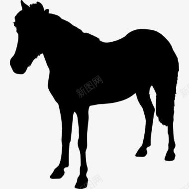 马站动物黑形状向左图标图标