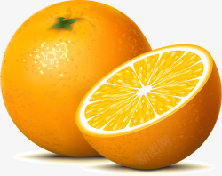 蔬菜装饰橙子矢量图高清图片