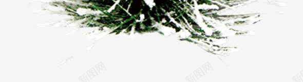雪覆盖树木冬季订货png免抠素材_新图网 https://ixintu.com 冬季 树木 素材 覆盖 订货