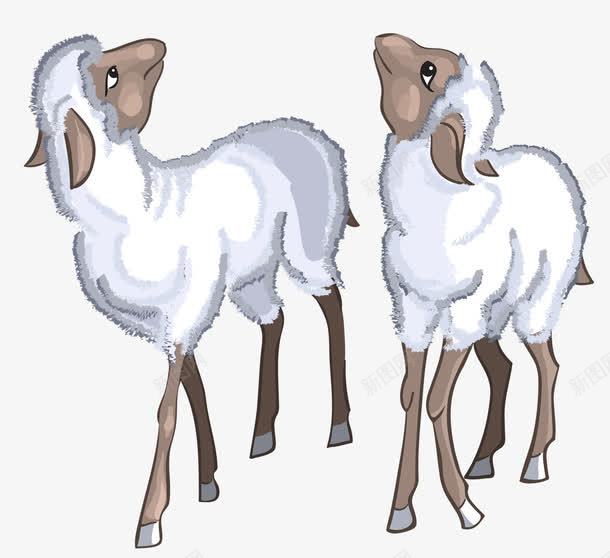 两只小绵羊png免抠素材_新图网 https://ixintu.com 绵羊 羊崽子 羊毛 羊羔