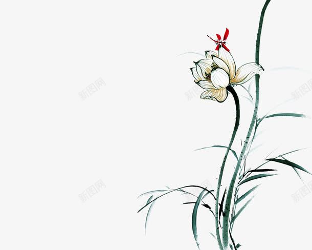 花朵上的蜻蜓png免抠素材_新图网 https://ixintu.com PNG素材 手绘 花朵 蜻蜓